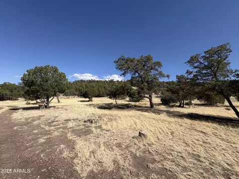 NNN W Doubletree Road #3, Eagar, AZ 85925 photo 15