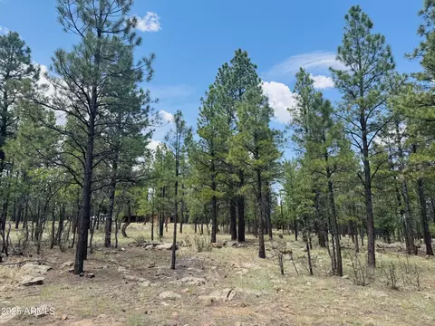 4185 Apache Dr #429, Happy Jack, AZ 86024