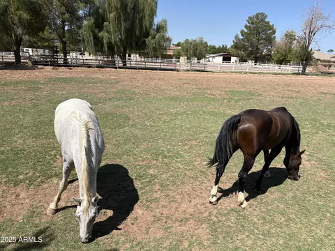 Other - 1446 S Corrine Dr, Gilbert, AZ 85296 photo 12 of 13