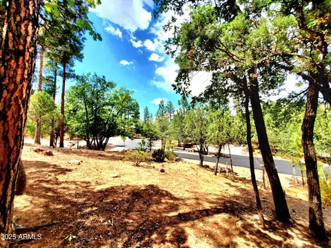lot19 Strawberry Holw #19, Pine, AZ 85544