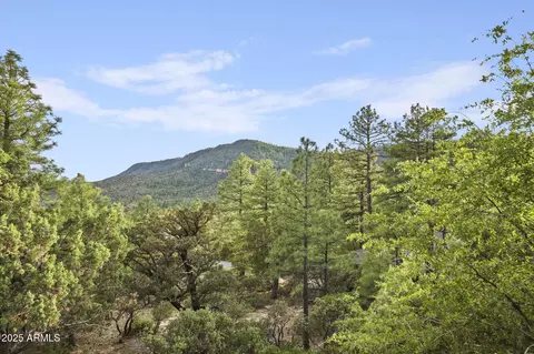 Other - 4558 N Moonglow Ln, Pine, AZ 85544 photo 2 of 24