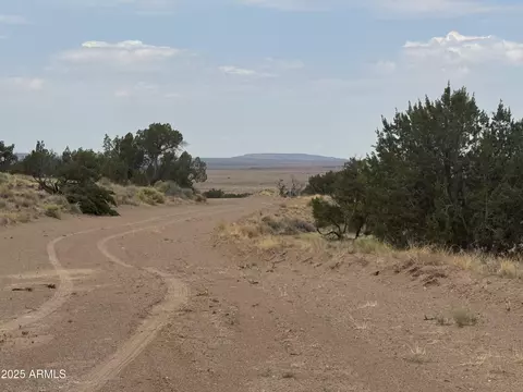 lot99 Carrizo Rnch #99, Saint Johns, AZ 85936