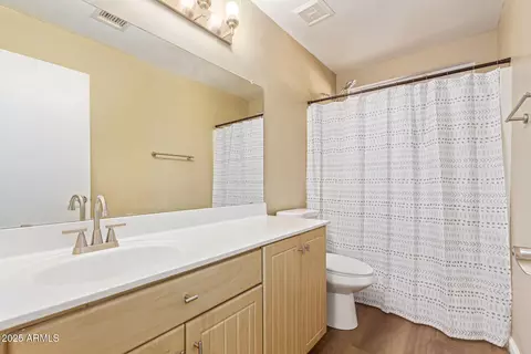 Bath - 460 E Arabian Dr, Gilbert, AZ 85296 photo 4 of 4