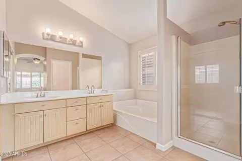 Bath - 460 E Arabian Dr, Gilbert, AZ 85296 photo 1 of 4