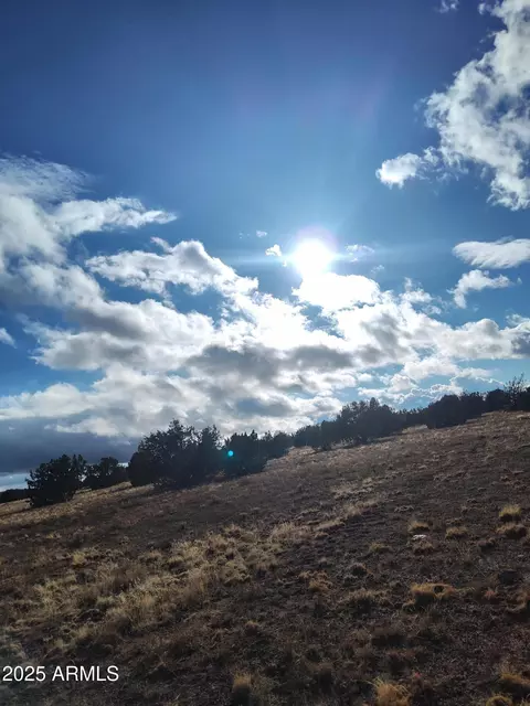 nnn N Nnn -- #-, Seligman, AZ 86337