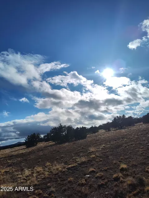 nnn Nnn -- #15, Seligman, AZ 86337