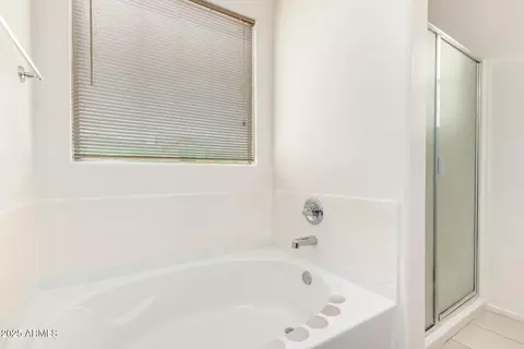 Bath - 3903 E Branham Ln, Phoenix, AZ 85042 photo 5 of 6