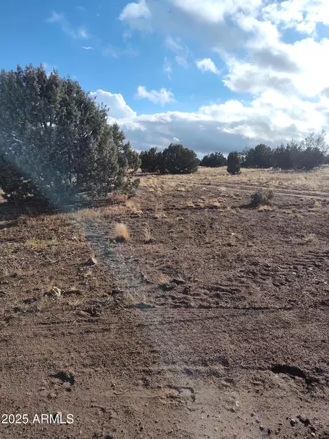 00000 N Deliverace -- #453, Seligman, AZ 86337