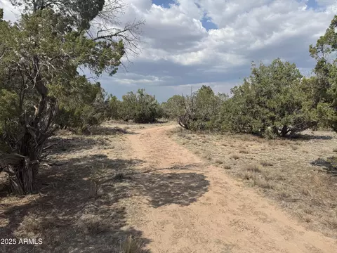lot Apt 14 4225 Acres Tbd -- #014, Saint Johns, AZ 85936