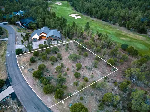 3480 W Sage Ln #255, Show Low, AZ 85901