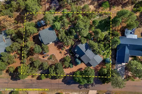 2231 Eagle Ln, Overgaard, AZ 85933 photo 48