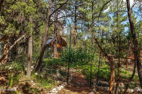 2231 Eagle Ln, Overgaard, AZ 85933 photo 32