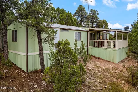 3504 Rae Cir, Overgaard, AZ 85933