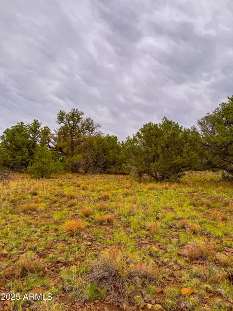 134 E Snowdrift Rd #452, Williams, AZ 86046 photo 4