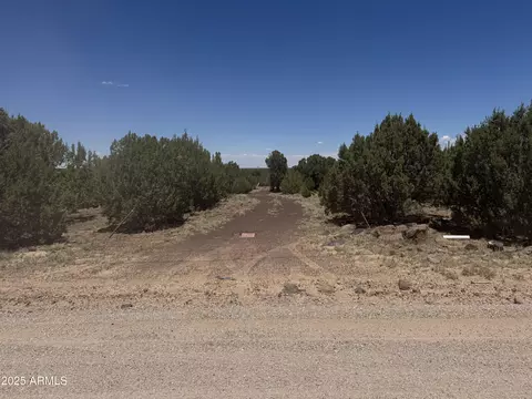 171 Acr 8088 -- #445, Concho, AZ 85924