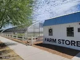 Other - 9833 E Red Giant Dr, Mesa, AZ 85212 photo 8 of 9