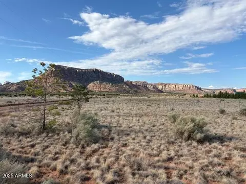 78 S Lot S School Bounds 1600 East Rd #78, Cane Beds, AZ 86022