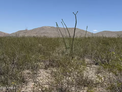 lot114 Valley Spgs #114, Douglas, AZ 85607