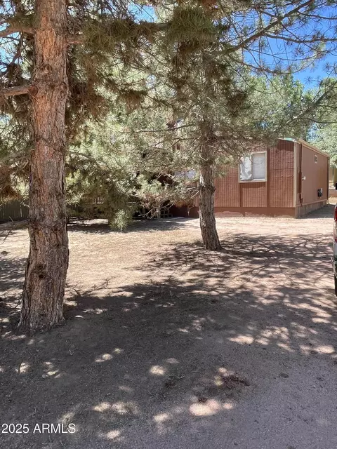 8502 W Elk Rd, Strawberry, AZ 85544 photo 6