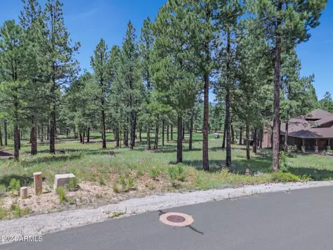 1948 E Bare Oak Loop #115, Flagstaff, AZ 86005 photo 5