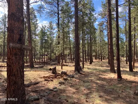 18 N County Road N1045 -- #103, Springerville, AZ 85938
