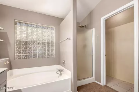 Bath - 462 E Pinto Dr, Gilbert, AZ 85296 photo 2 of 4