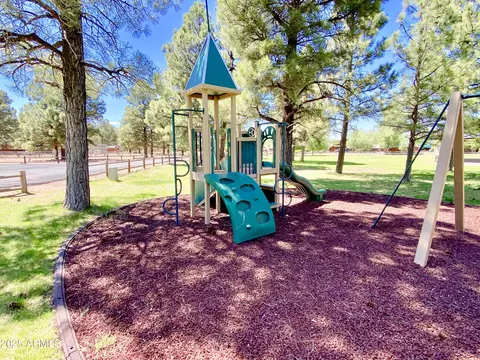 View/Area - 2702 Covered Wagon Trl, Overgaard, AZ 85933 photo 7 of 7