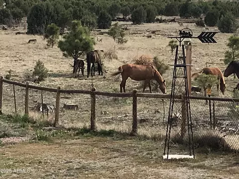 Other - 2702 Covered Wagon Trl, Overgaard, AZ 85933 photo 34 of 42