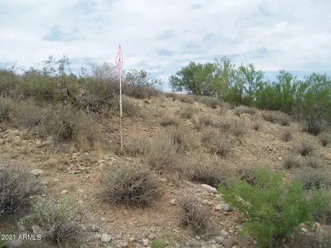 290 W Nn W Dove Valley Rd #-, Unincorporated County, AZ 85361