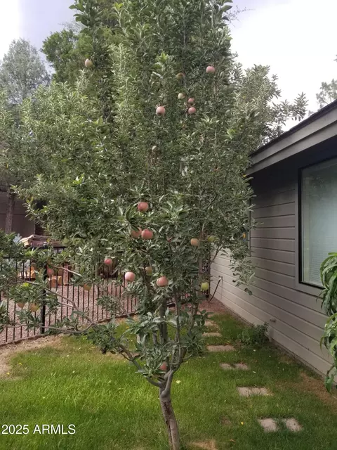 2509 E Scarlet Bugler Cir, Payson, AZ 85541 photo 66