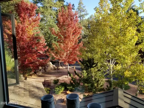 2509 E Scarlet Bugler Cir, Payson, AZ 85541 photo 69