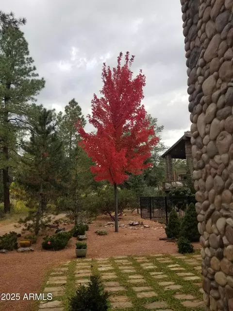 2509 E Scarlet Bugler Cir, Payson, AZ 85541 photo 68