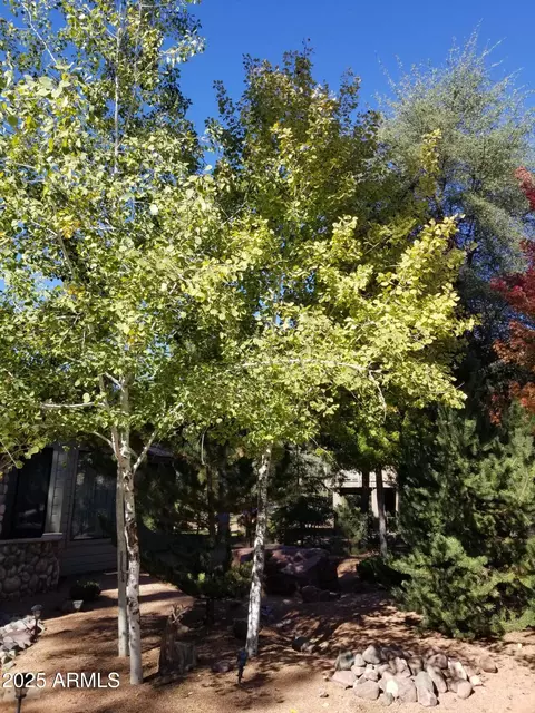 2509 E Scarlet Bugler Cir, Payson, AZ 85541 photo 67