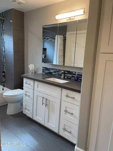 Bath - 3236 E Chandler Blvd #2037, Phoenix, AZ 85048 photo 4 of 5