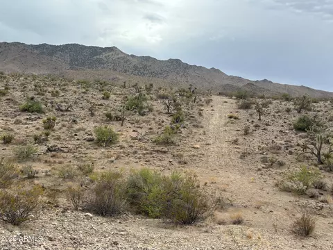 000 N Mohave Dr #48, Dolan Springs, AZ 86441