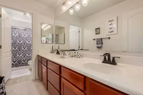 3039 E Hope St, Mesa, AZ 85213 photo 29