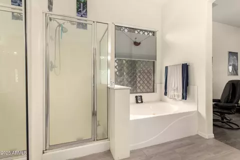 Bath - 10424 E Forge Ave, Mesa, AZ 85208 photo 3 of 5