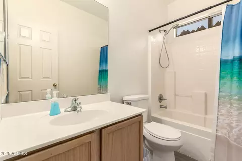 Bath - 10424 E Forge Ave, Mesa, AZ 85208 photo 4 of 5