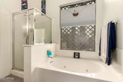 Bath - 10424 E Forge Ave, Mesa, AZ 85208 photo 2 of 5