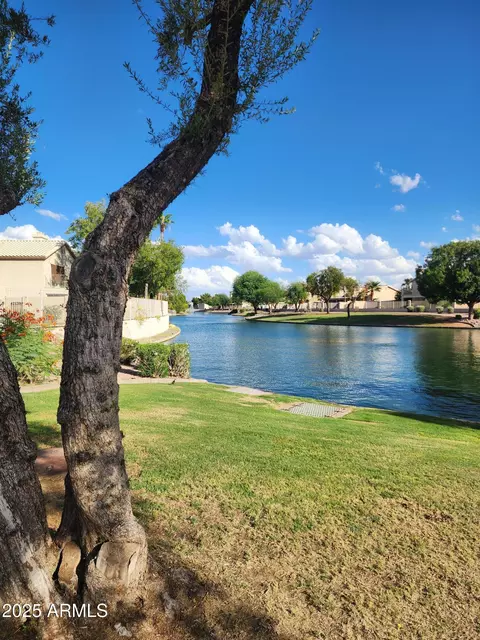 217 W Smoke Tree Rd, Gilbert, AZ 85233 photo 46