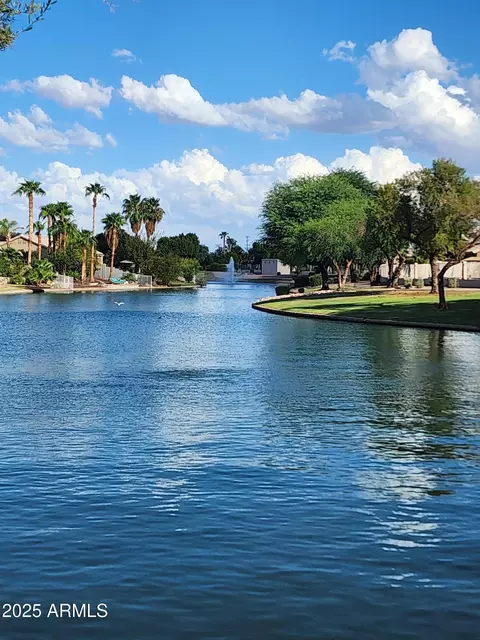 217 W Smoke Tree Rd, Gilbert, AZ 85233 photo 40
