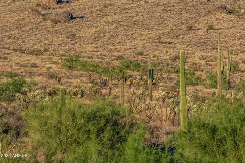 Other - 2075 N Holmes Rd, Apache Junction, AZ 85119 photo 12 of 17