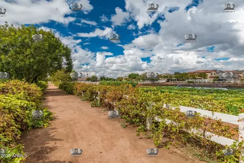 3060 E Summerset St, Gilbert, AZ 85296 photo 43
