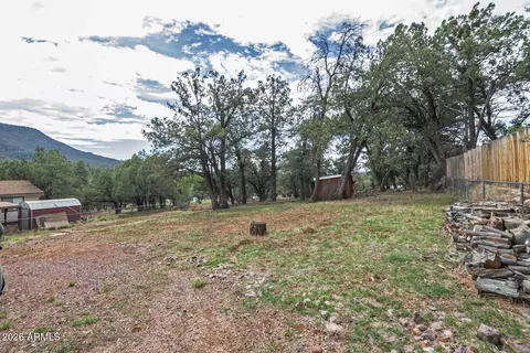 5949 W Cedar Meadow Ln, Pine, AZ 85544 photo 29