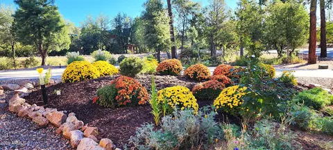 Exterior - 608 N Trailhead Dr, Payson, AZ 85541 photo 11 of 14