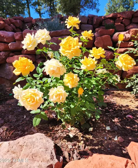 Other - 608 N Trailhead Dr, Payson, AZ 85541 photo 11 of 21