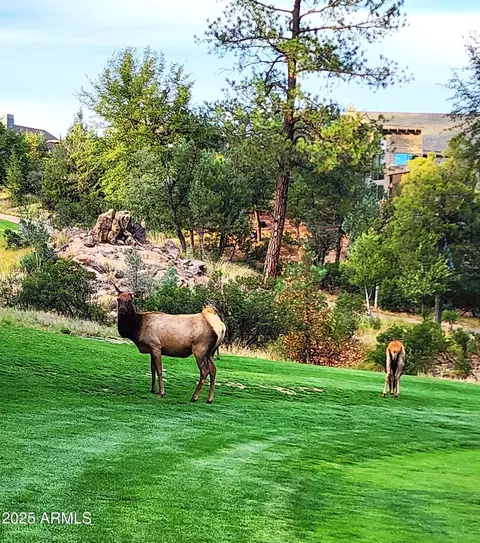 Other - 608 N Trailhead Dr, Payson, AZ 85541 photo 20 of 21