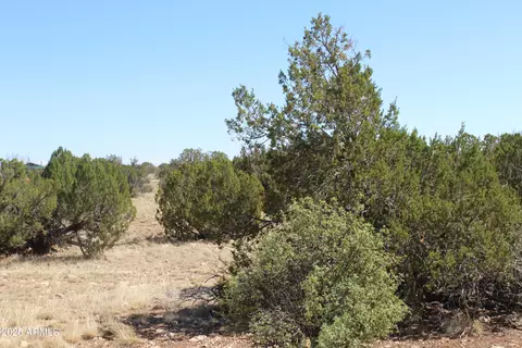 Sec 9 T14n,r16e: Sw4 Nw4 Sw4 -- #'-', Heber, AZ 85928