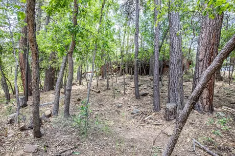 Exterior - 3865 N Hunt Dr, Pine, AZ 85544 photo 11 of 11