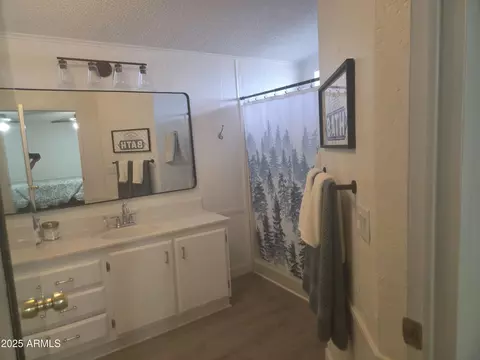 115 S Young Rd, Payson, AZ 85541 photo 17